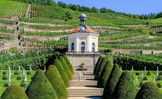 Belvedere und Wackerbarthberg auf Schloss Wackerbarth in Radebeul - Foto: IMAGO / Arvid Müller